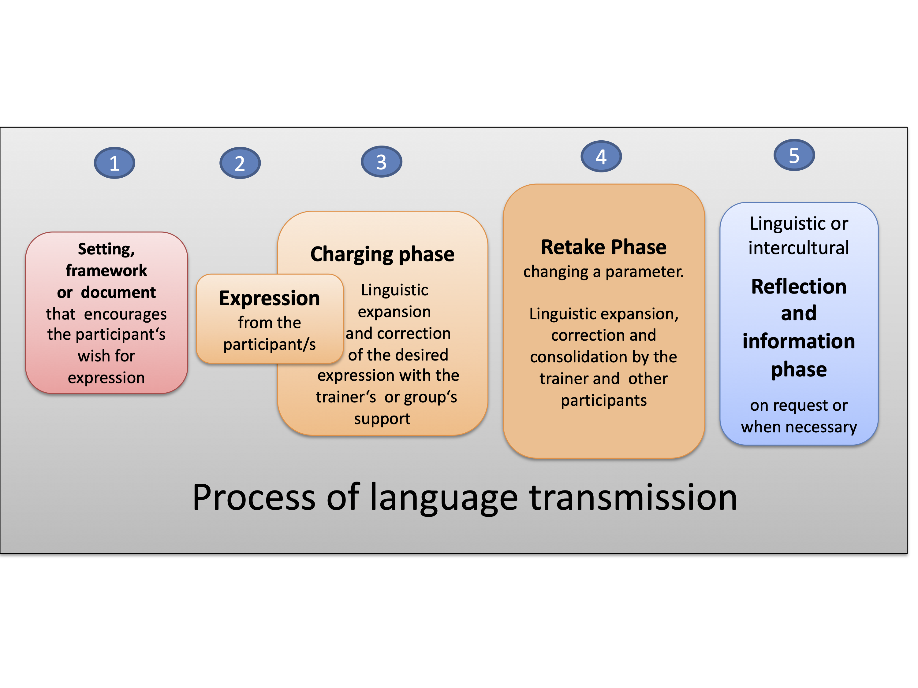 Process of language transmission